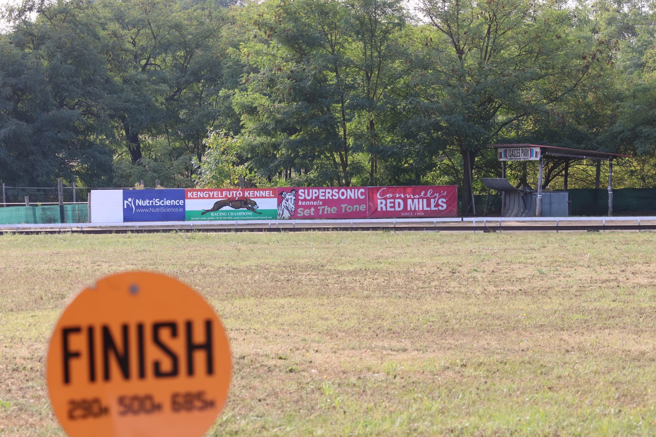 oval venue surface