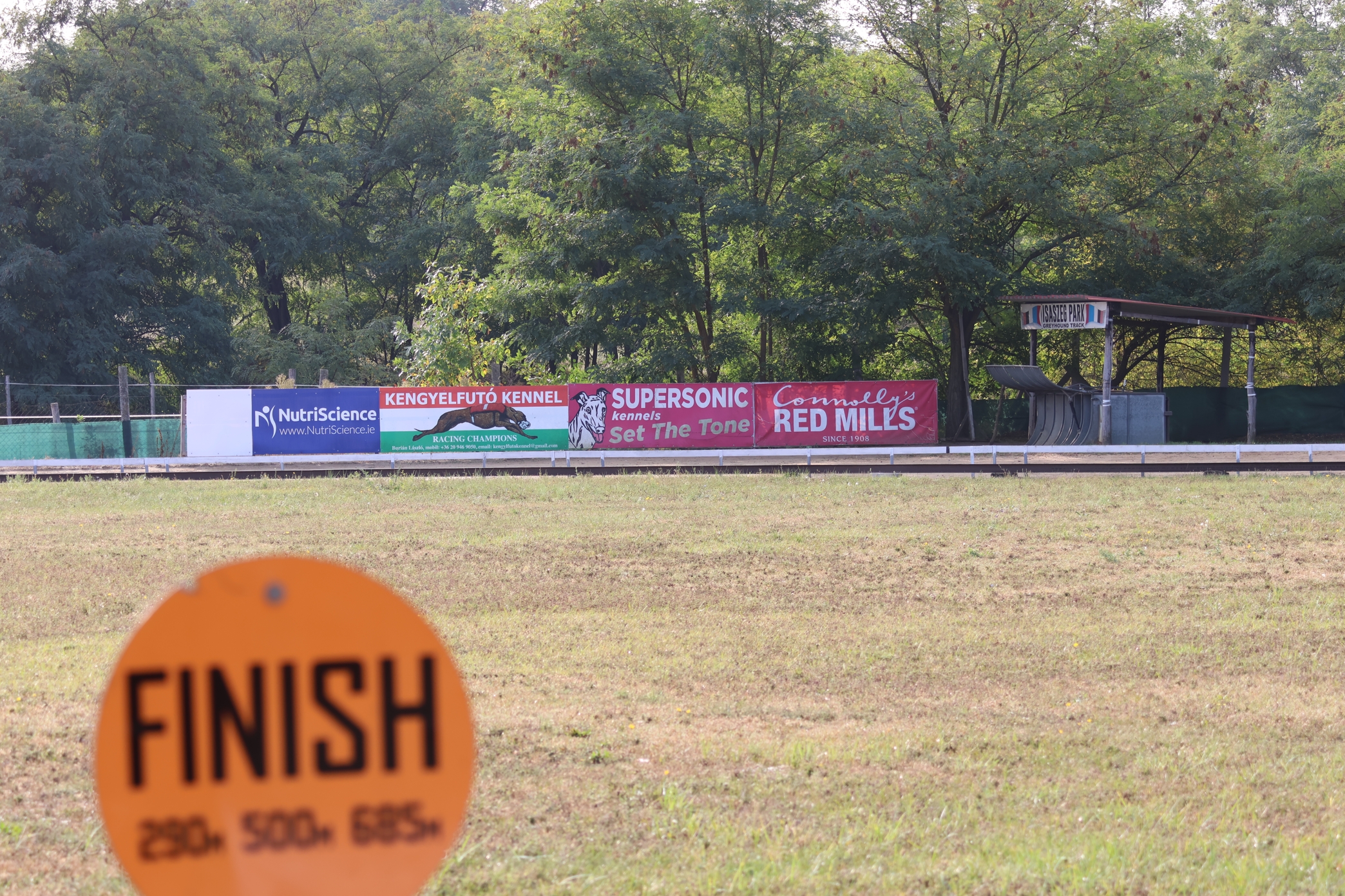 oval venue surface